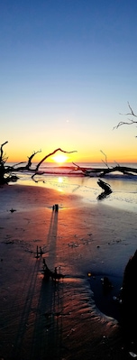 Watching the sunrise on Bull island is must do,  no cars allowed. Go enjoy the peace and quiet. #adventurephotocontest #adventure
