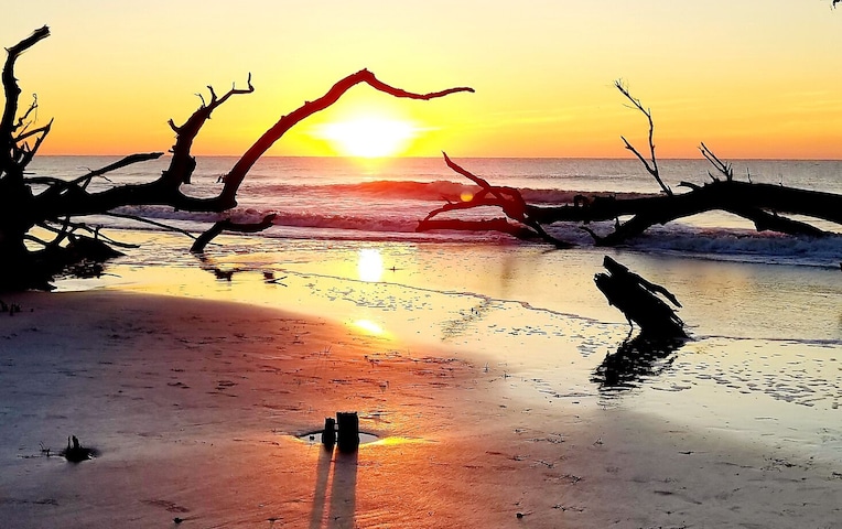 Watching the sunrise on Bull island is must do,  no cars allowed. Go enjoy the peace and quiet. #adventurephotocontest #adventure
