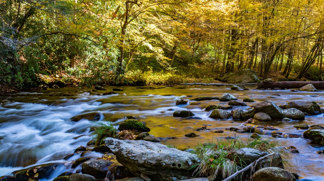 Middle Prong Little River surrounded by Fall Foliage in the Great Smoky Mountains National Park Tennessee