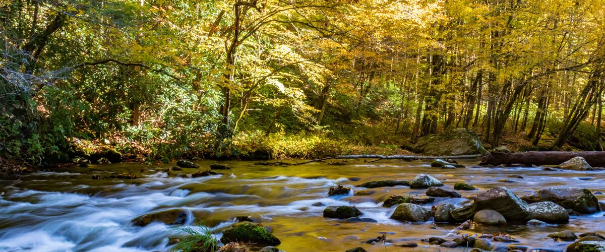 Middle Prong Little River surrounded by Fall Foliage in the Great Smoky Mountains National Park Tennessee