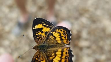Love canoeing down the river ans taking some time to explore nature!