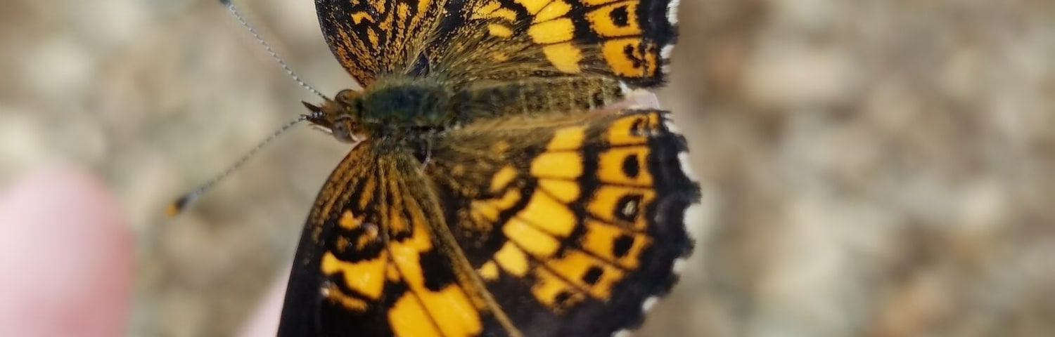 Love canoeing down the river ans taking some time to explore nature!