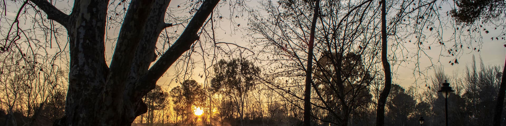 Anna Lake at sunrise one day with some fog.