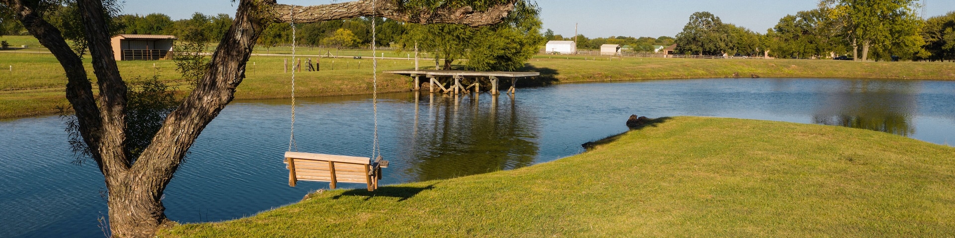 Tree swing by a Pond