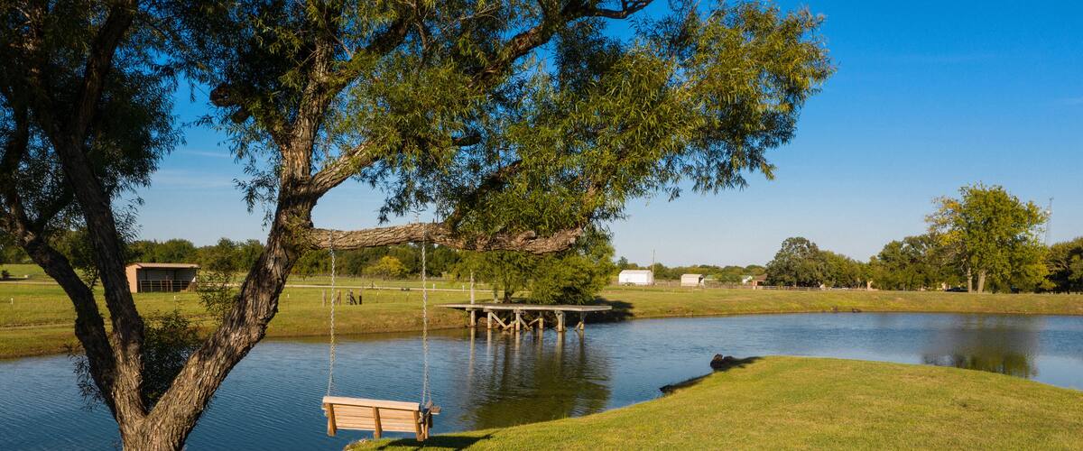 Tree swing by a Pond