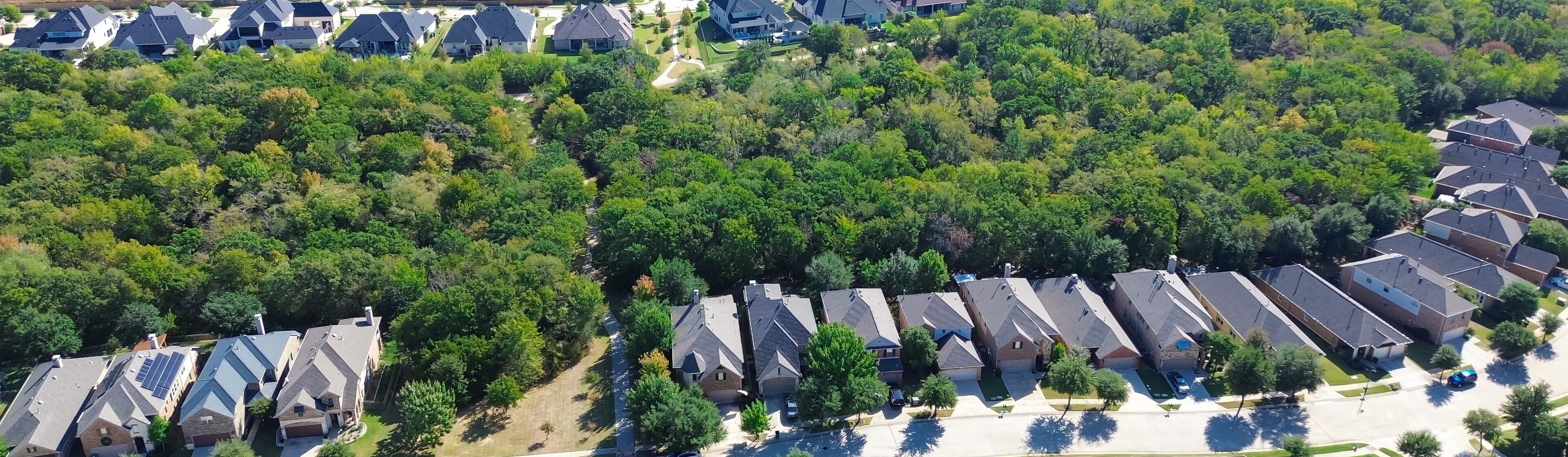 A residential area with houses and dense greenery.