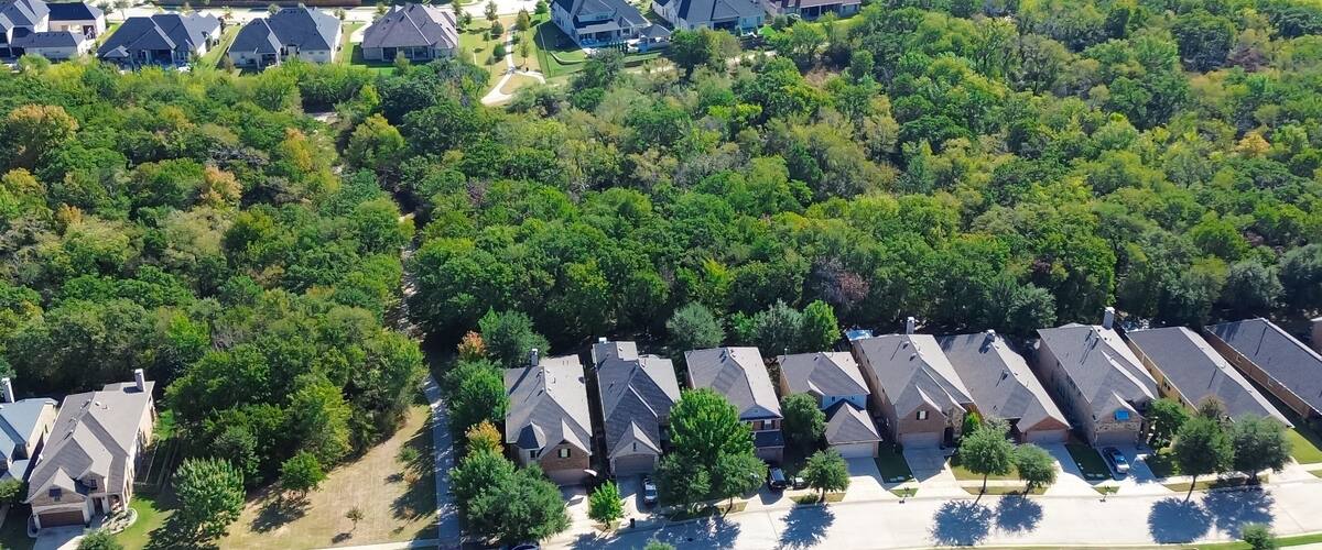 A residential area with houses and dense greenery.