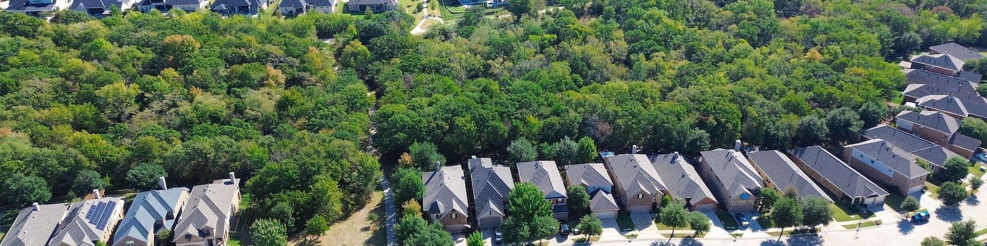 A residential area with houses and dense greenery.