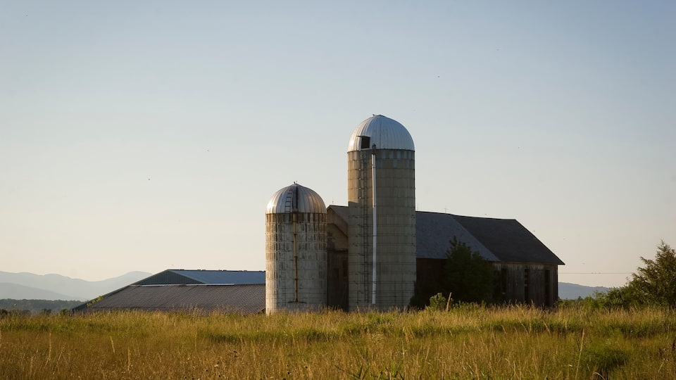 A rural barn with two silos and a metal roof in a grassy field.