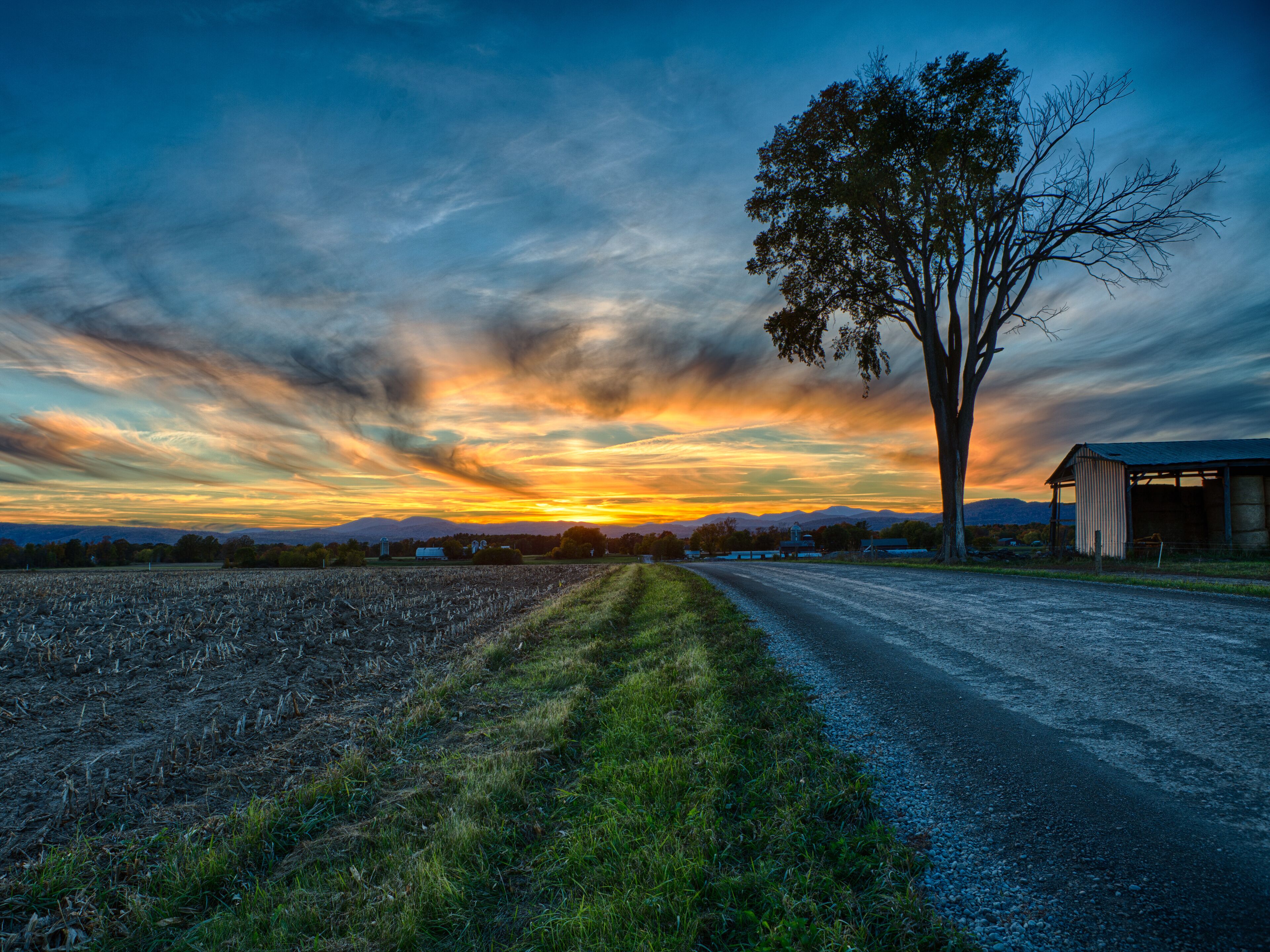 A rural landscape with a dirt road, a large tree, and a barn.