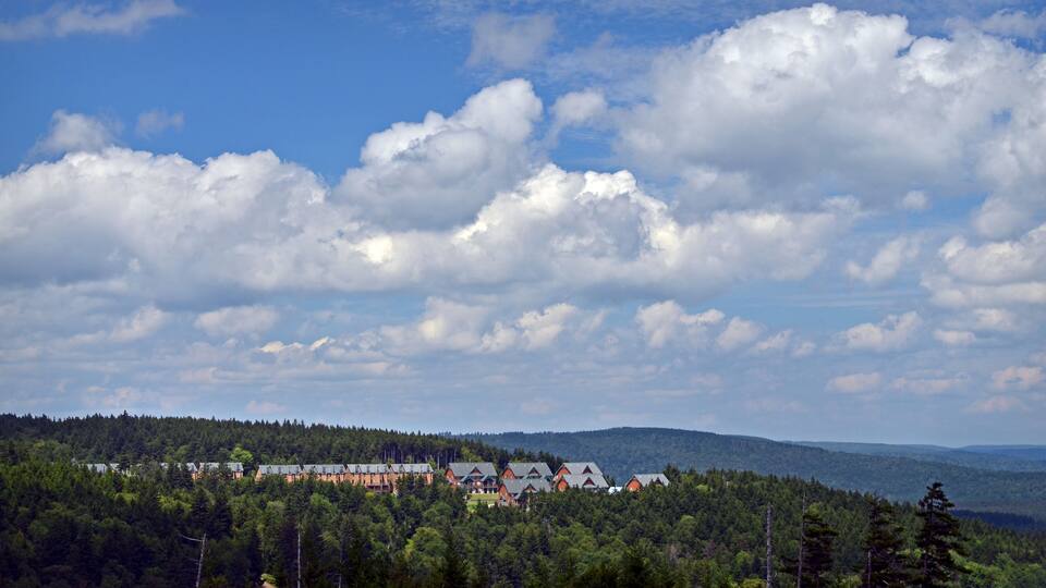 A forested landscape with a cluster of red-roofed buildings and a lake in the distance.