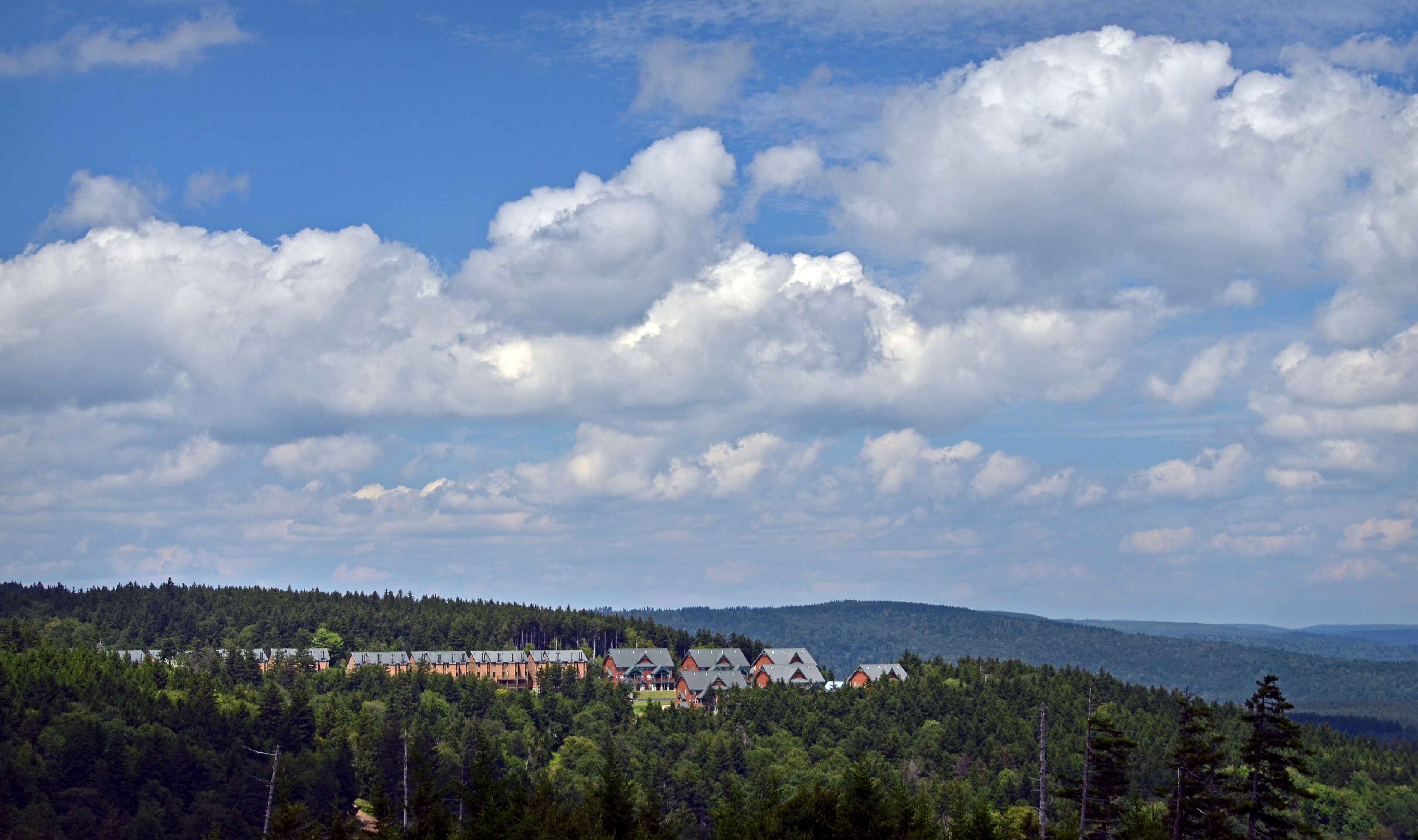 A forested landscape with a cluster of red-roofed buildings and a lake in the distance.