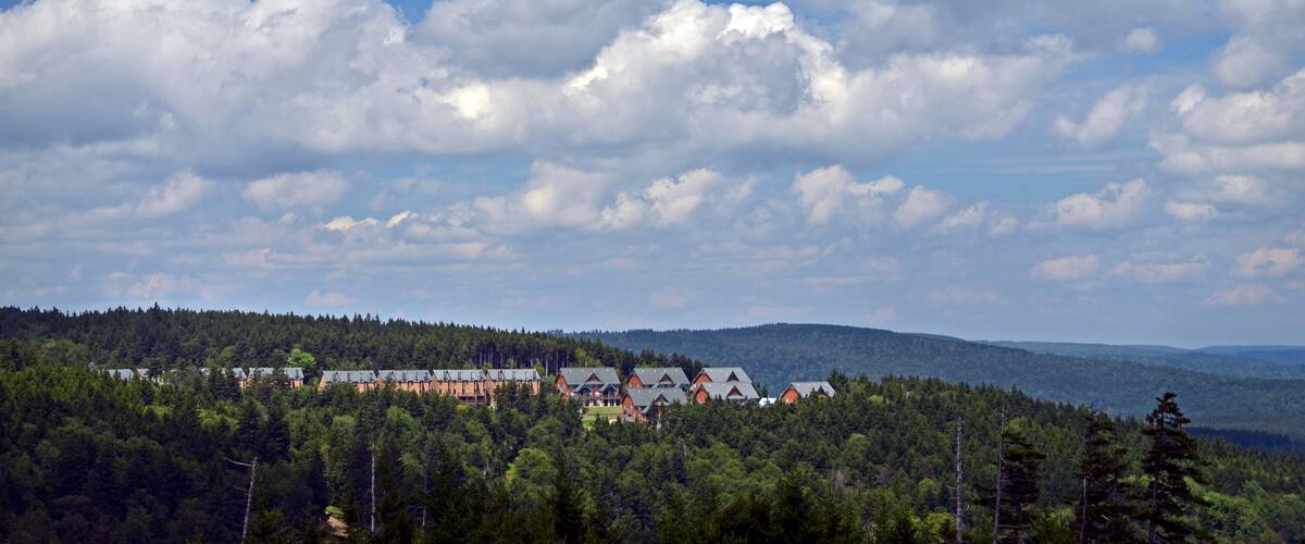 A forested landscape with a cluster of red-roofed buildings and a lake in the distance.