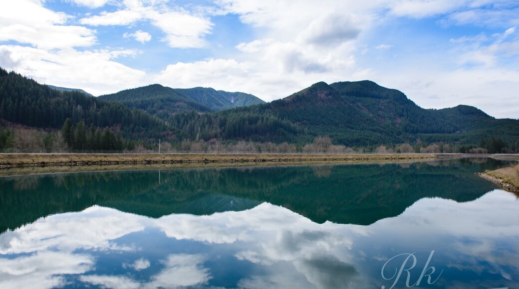 Yale Lake , Cougar , WA