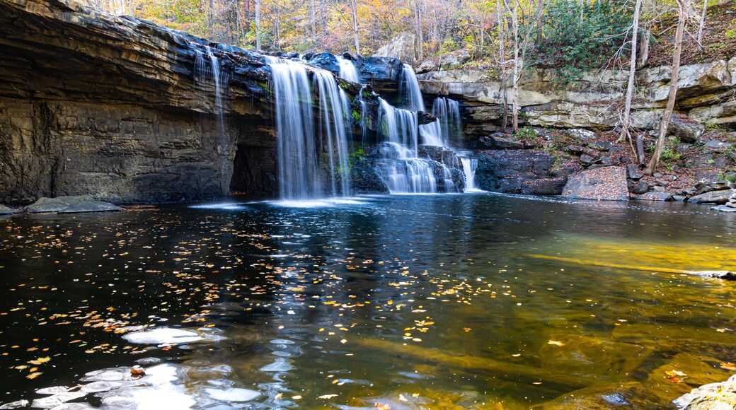 Fall Foliage and Brush Creek Falls, Brush Creek Nature Preserve, Athens, West Virginia, USA