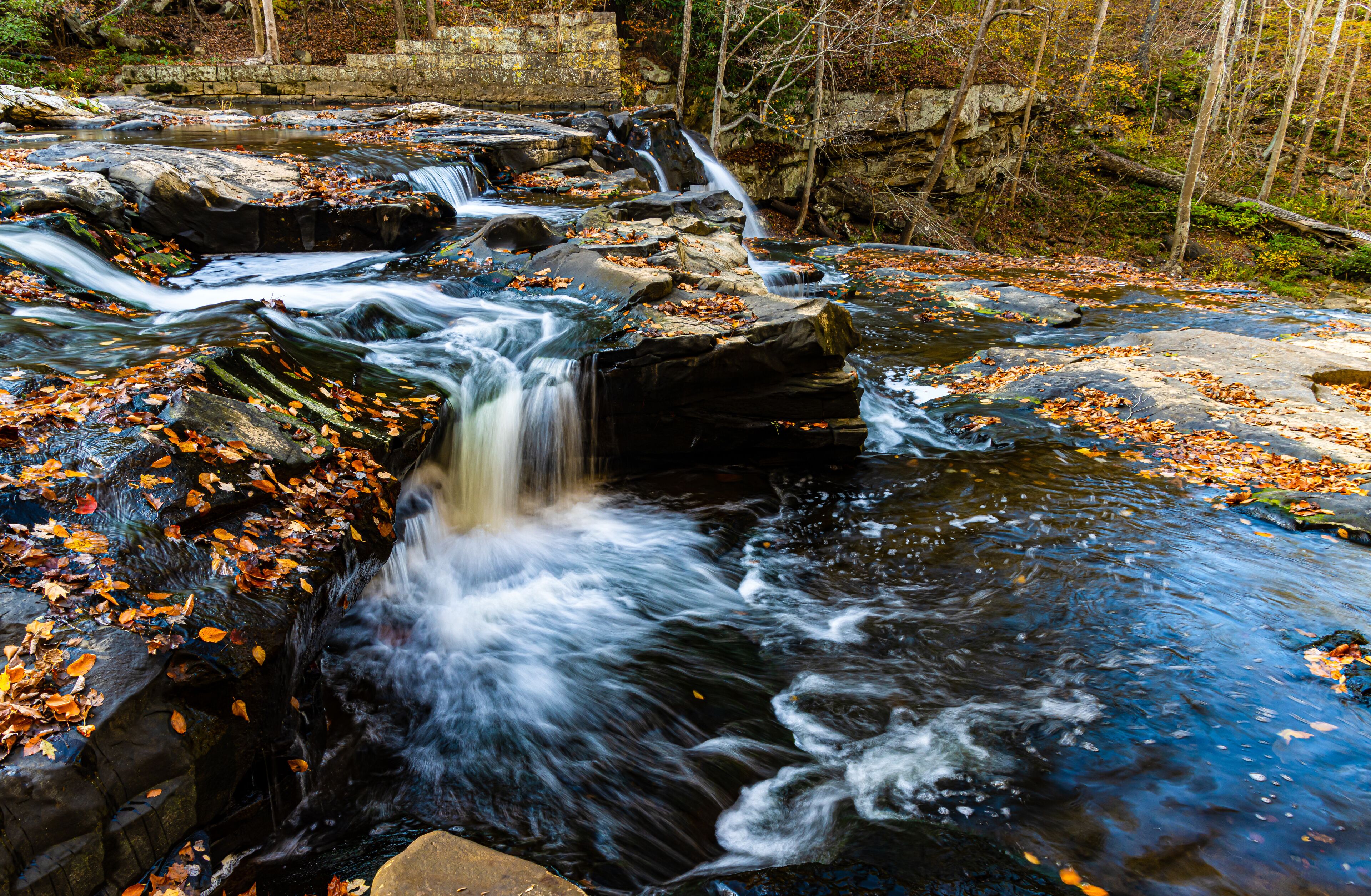 A waterfall in a forested area with autumn leaves.