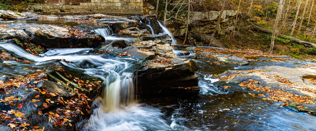 A waterfall in a forested area with autumn leaves.