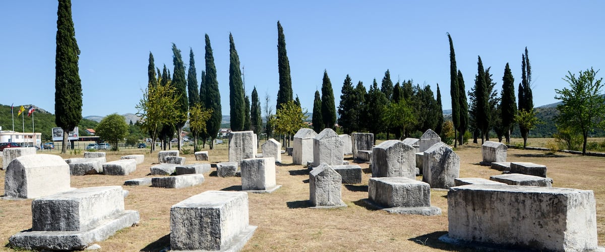 A cemetery with numerous gravestones and tall cypress trees.