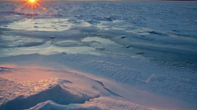 Un paisaje helado con el sol poniéndose sobre un terreno plano y cubierto de hielo.