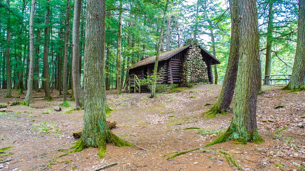 A rustic log cabin surrounded by tall trees in a forest.
