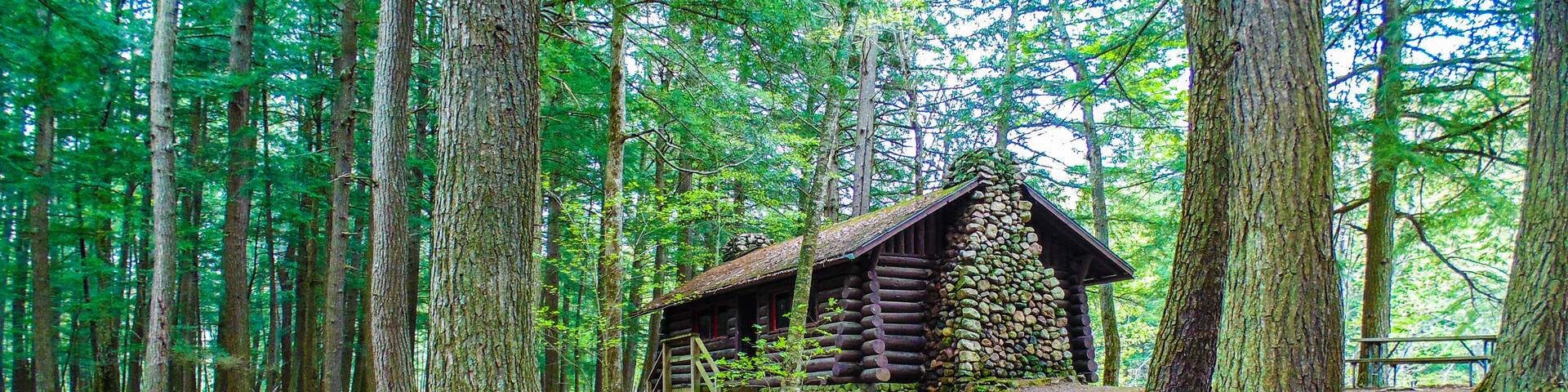 A rustic log cabin surrounded by tall trees in a forest.