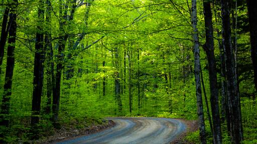 #trovember Northern Wisconsin in the spring