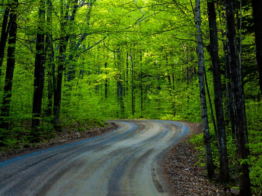 #trovember Northern Wisconsin in the spring