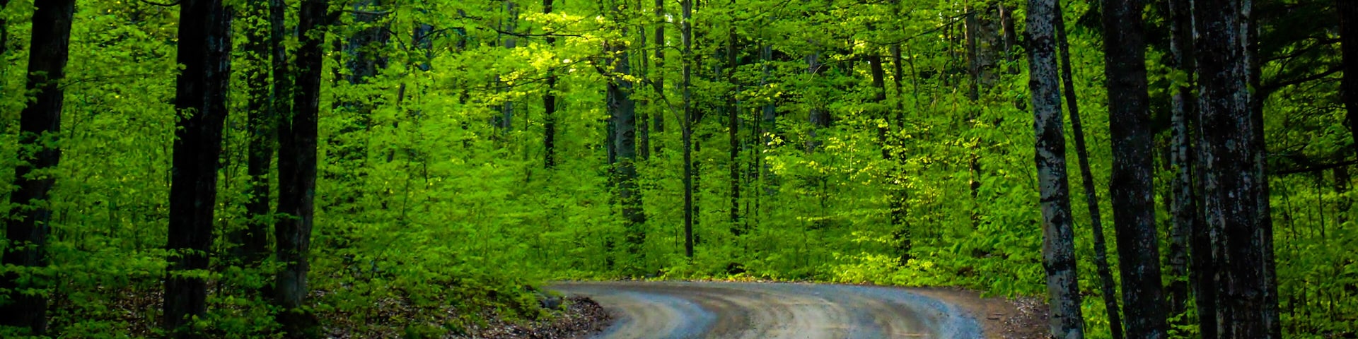 #trovember Northern Wisconsin in the spring