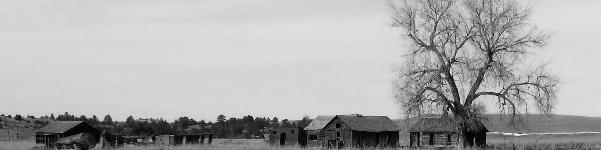 I love finding old farmsteads. Thankfully Wyoming is never in short supply of local history.