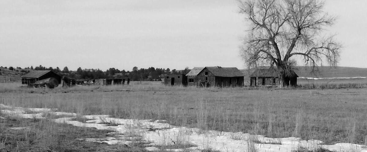 A rural landscape with several old, dilapidated houses and a large leafless tree in a field.