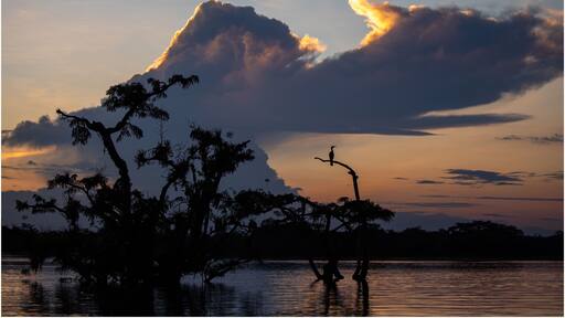 Sunset in Laguna Grande, Cuyabeno Amazon’s Rainforest