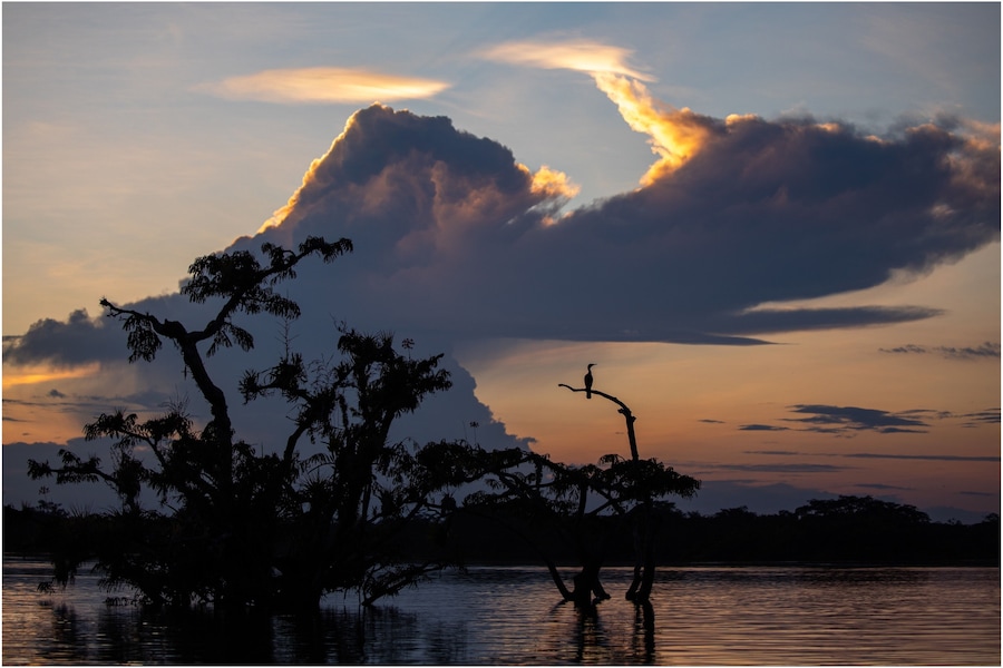 Sunset in Laguna Grande, Cuyabeno Amazon’s Rainforest