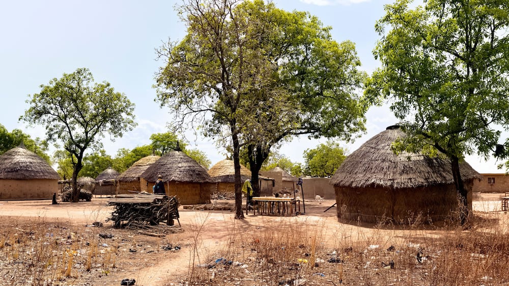 African village in bush Ghana real life huts. Northern region of Ghana. Rural traditional mud and straw huts and buildings. Poverty economy. African tribal and native homes.