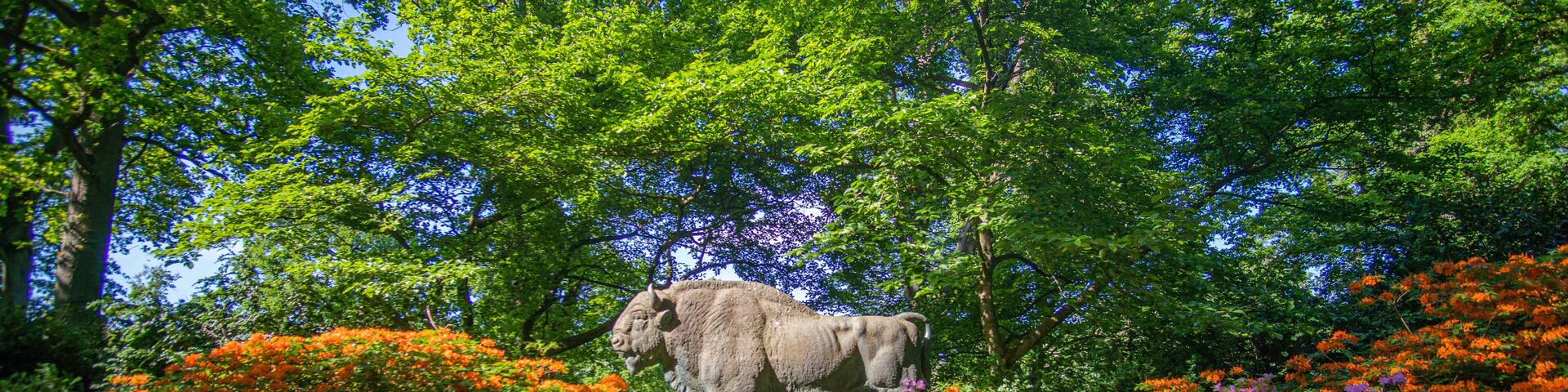 Bull Statue surrounded by beautiful blooming rhododendrons at Park in Bremen