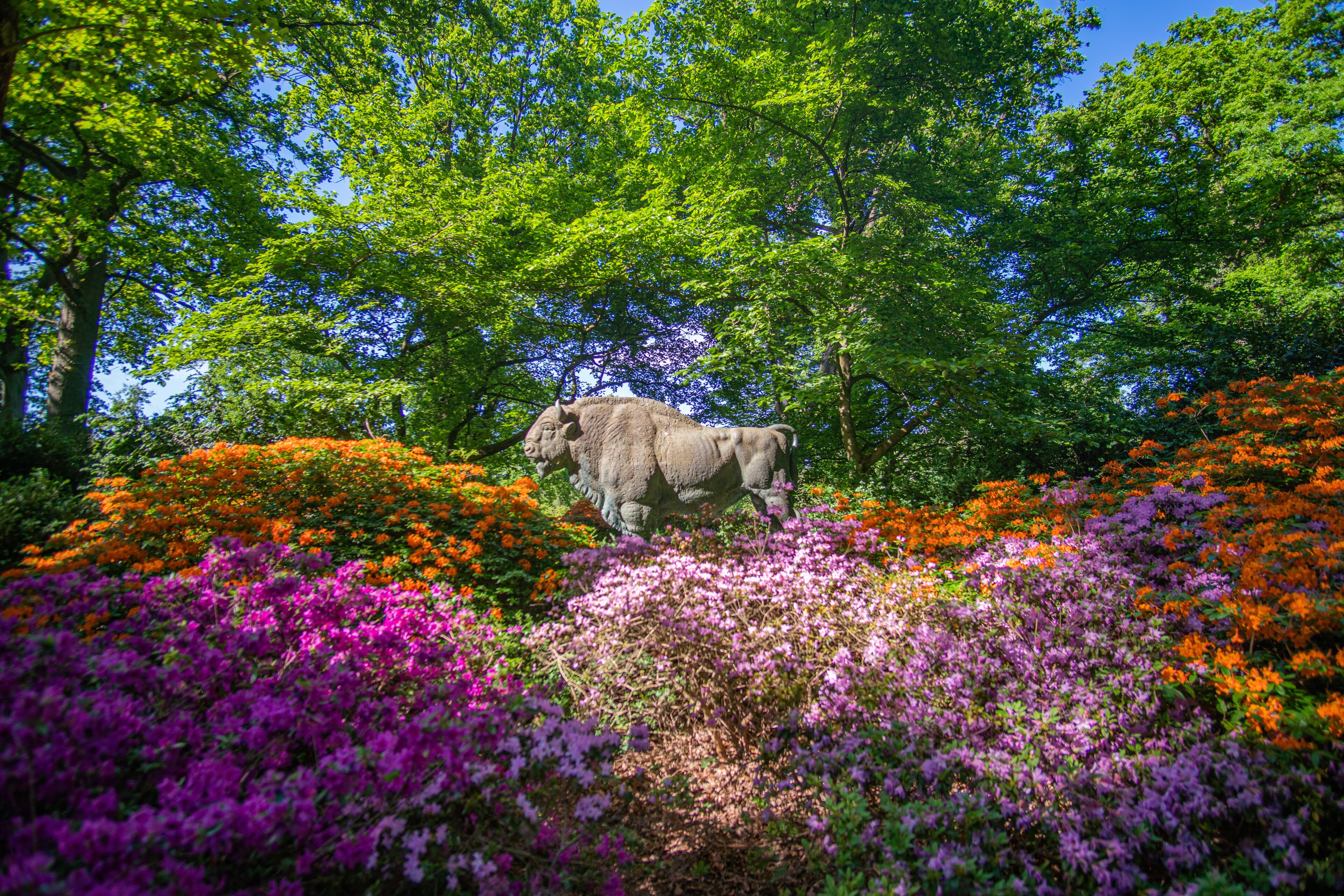 A statue of a bull amidst vibrant purple and orange flowers, with a backdrop of dense green trees.