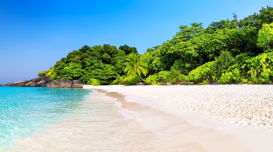 Beautiful beach and blue sky in Similan islands.