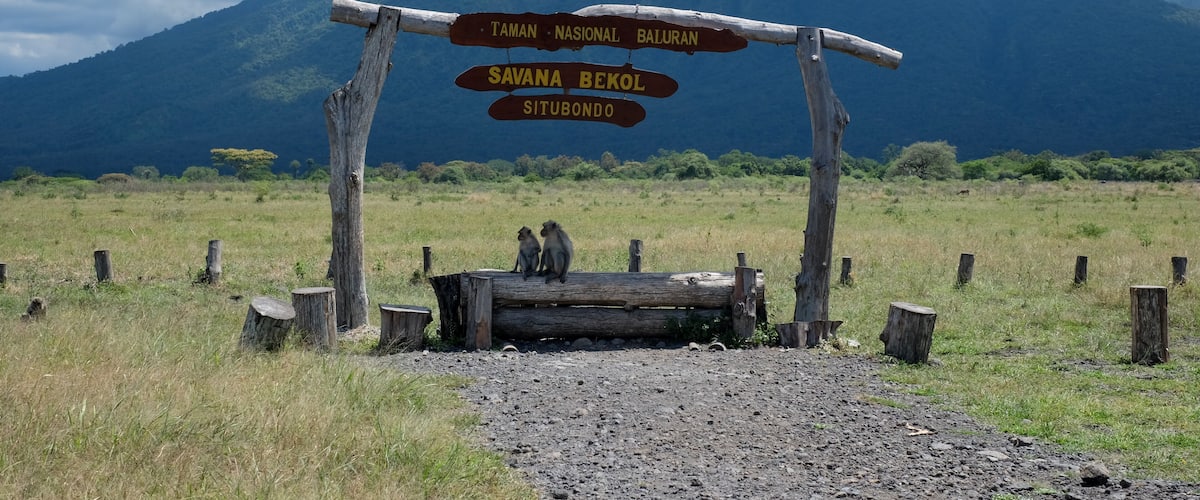 A wooden signpost with directions to Taman Nasional Baluran, Savana Bekol, and Situbondo.