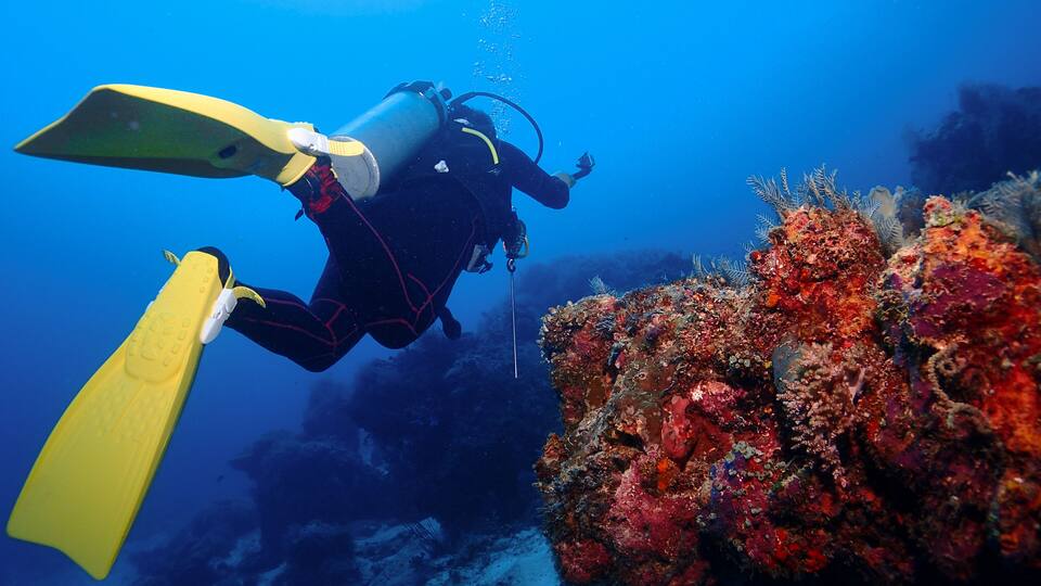 A diver with yellow flippers and a black wetsuit exploring a vibrant coral reef.