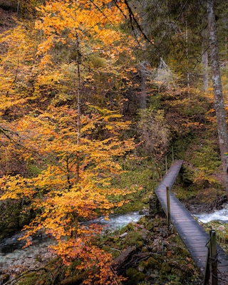 Photo d'un pont dans les Gorges du Bryant