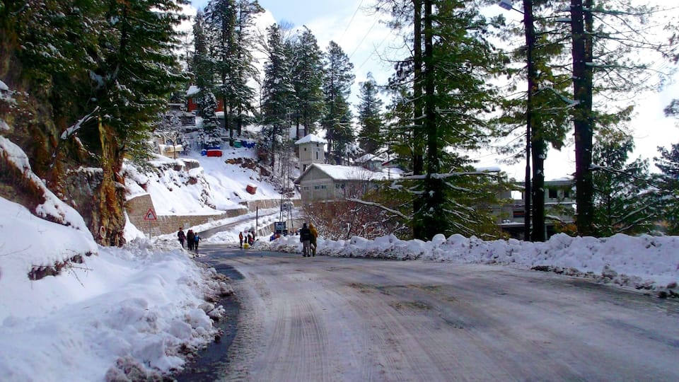 A snowy road with people walking, surrounded by trees and buildings.