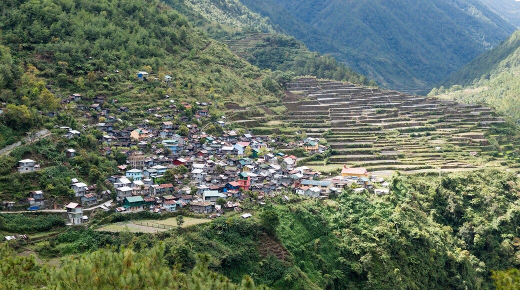 Bontoc