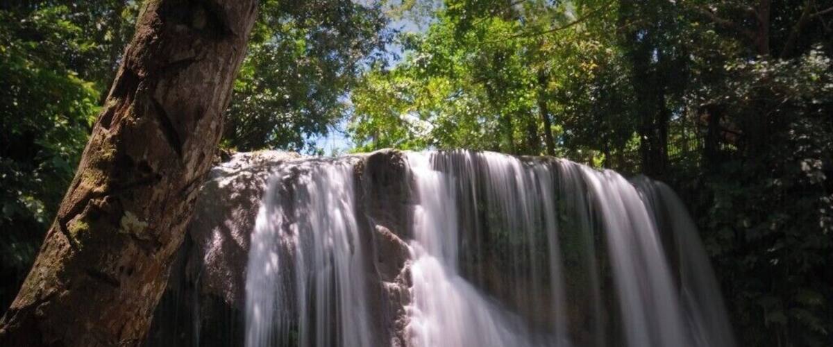 A waterfall cascading over a cliff into a pool of water surrounded by trees.