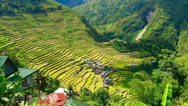 Amazing 7-8hours trip... I was not sure if We make it back on time but luckily we did and the next 4days my whole body was painful as hell. But it was totally worth it🌾