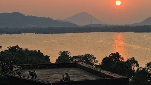Monkeys looking at the sunset at Heritance Kandalama,