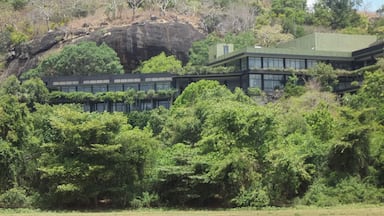Un edificio moderno con techos verdes en medio de un paisaje exuberante, con árboles y una colina rocosa al fondo.