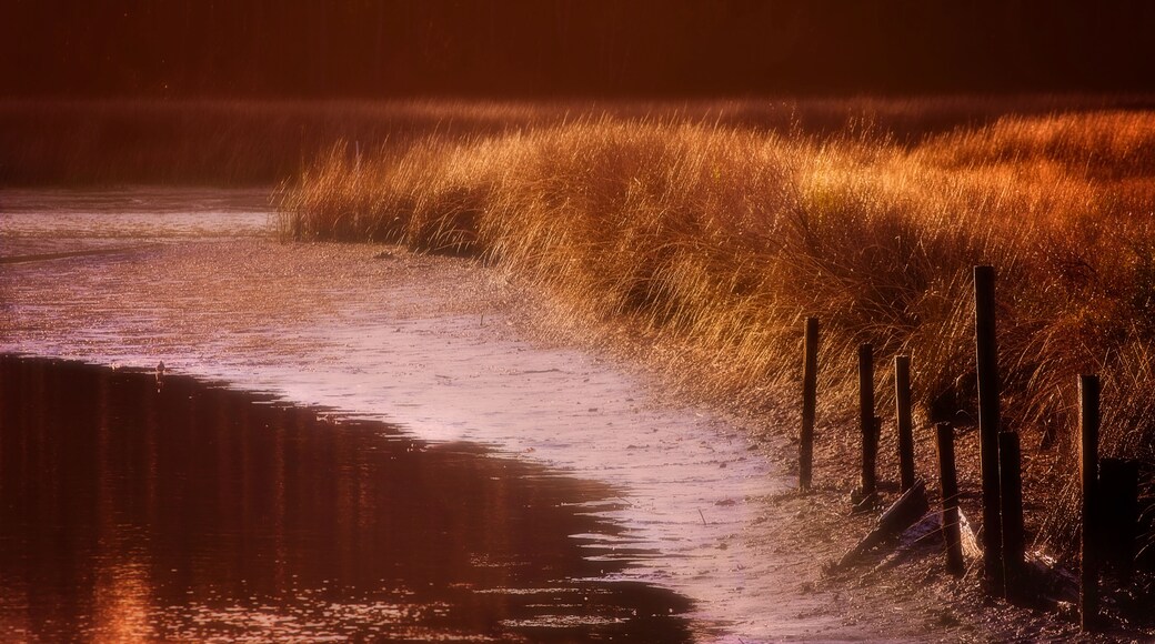 Ice along the banks of West Fowl River in Coden Alabama, rare Southern snow ice storm