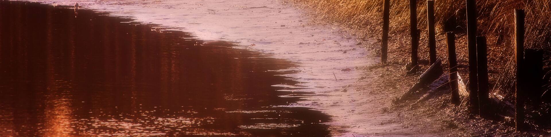 Ice along the banks of West Fowl River in Coden Alabama, rare Southern snow ice storm