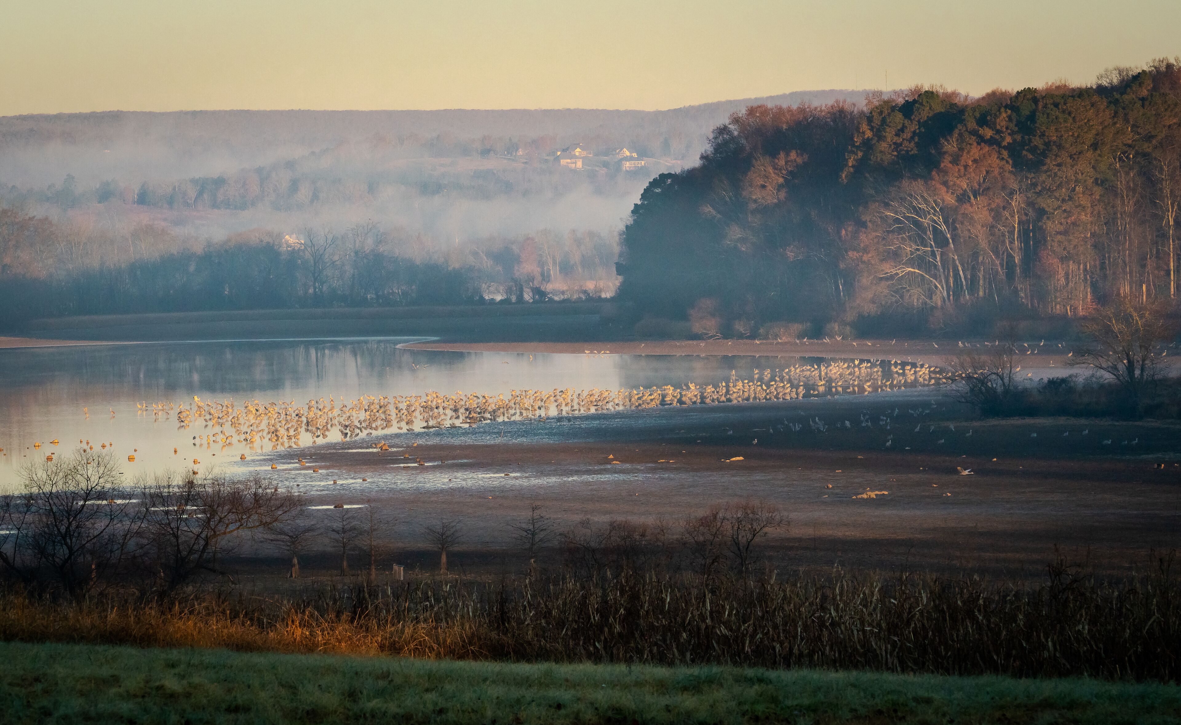 A misty landscape with a lake, a forested hill, and a distant building.