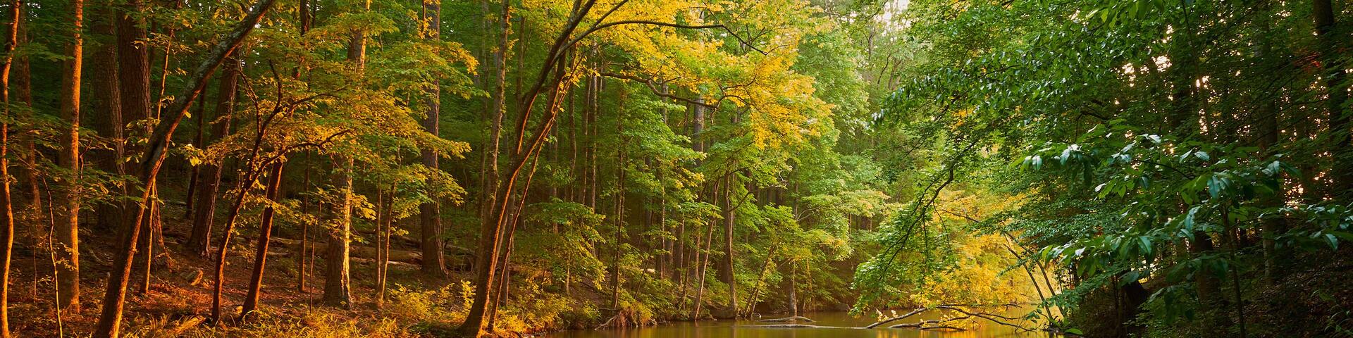 Astonishing beauty of autumn sunset with reflections in forest lake