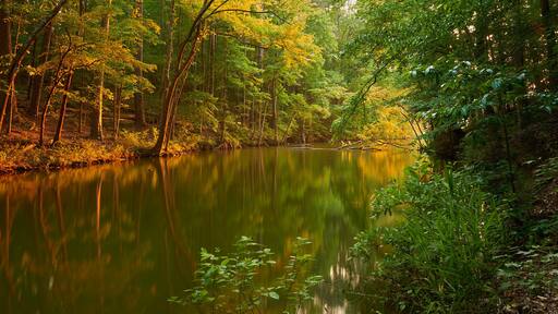 Montevallo